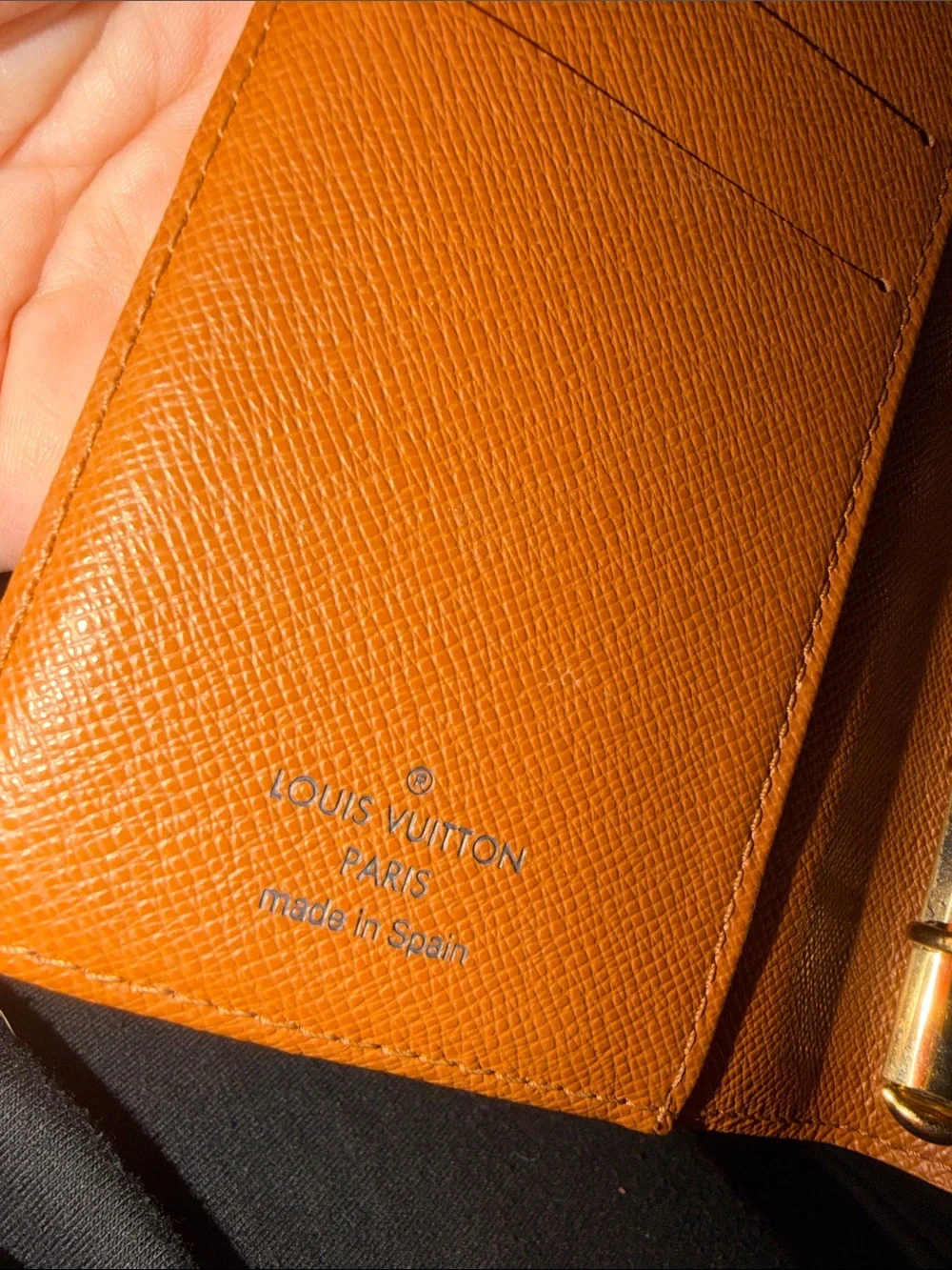 Louis Vuitton iconic louis